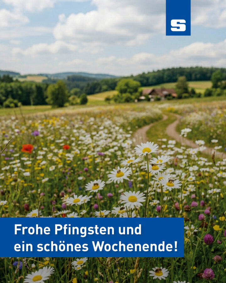 Bild einer Blumenwiese auf dem Feld. Im Fordergrund sieht man wie Bienen auf Blumen landen.
