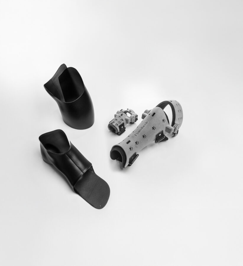 Beispielbild für Orthesen aus dem 3D Bereich von Späh